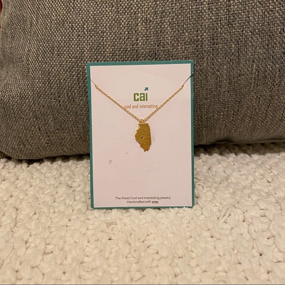 BNWT COOL INTERESTING Illinois Home State Necklace - Picture 2 of 5